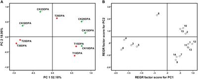 Comparative Proteome Analysis of Wheat Flag Leaves and Developing Grains Under Water Deficit